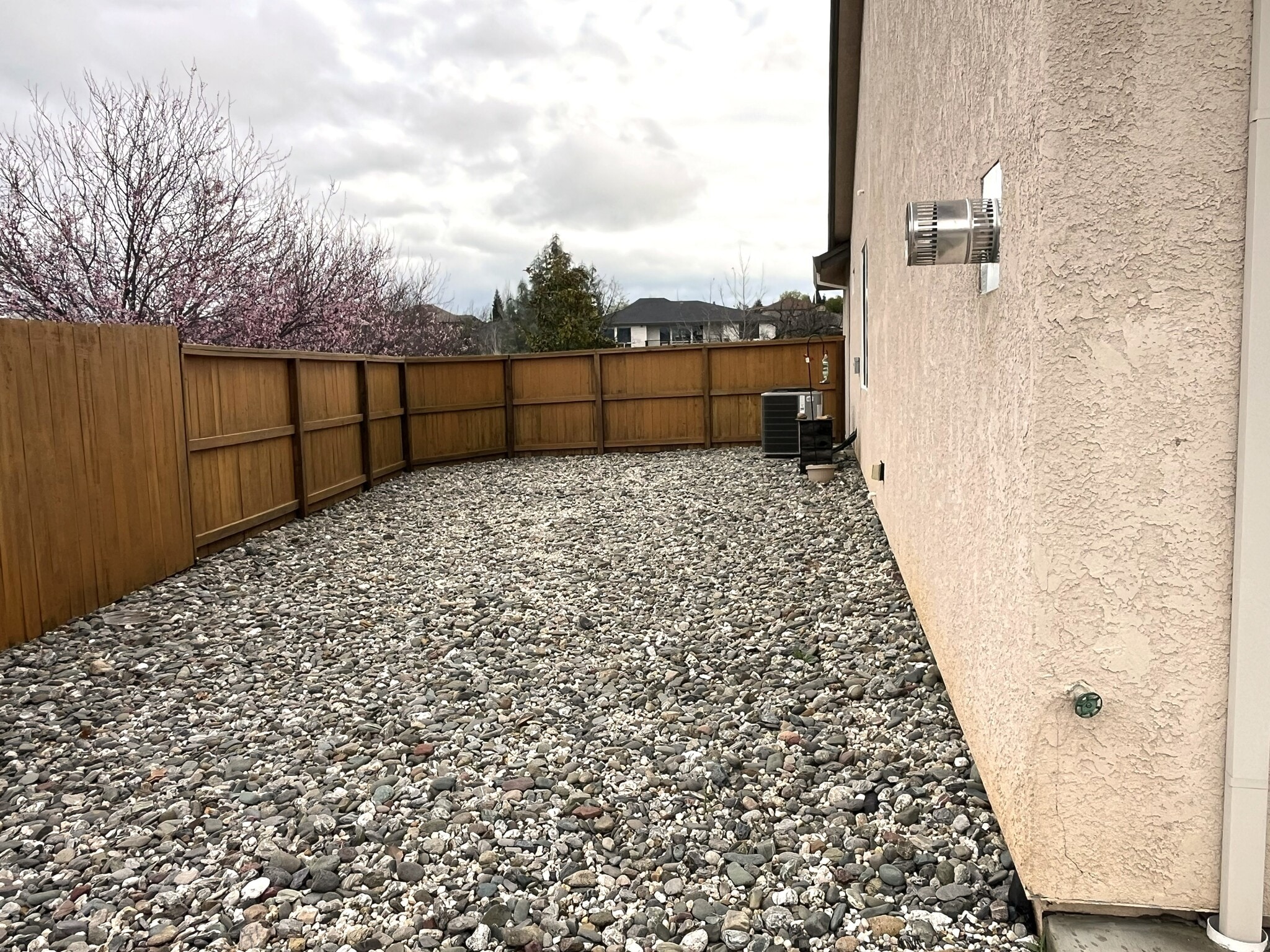 Side Yard - 358 Reddington Dr