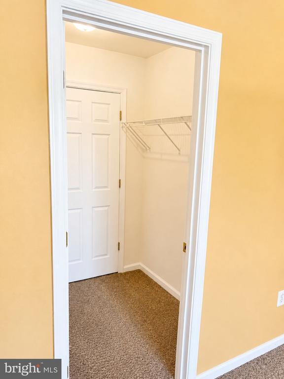 Building Photo - 109 Canvasback Way