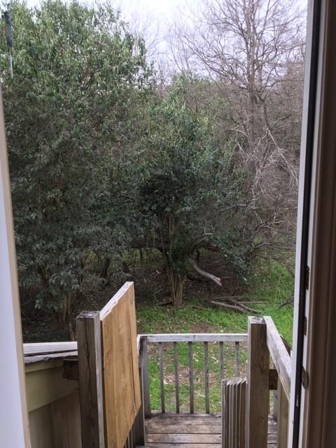 Building Photo - 1713 Cinnamon Path