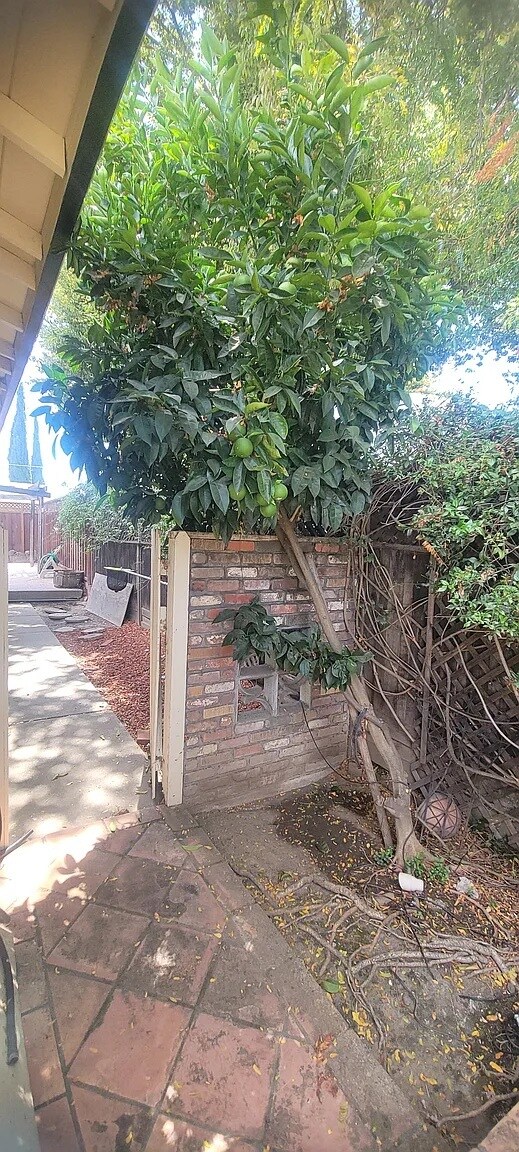 Building Photo - 4120 Cristobal Way