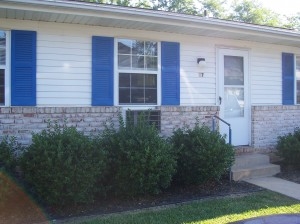 Building Photo - Blue Pines Apartments