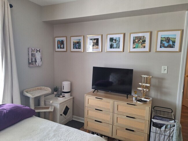 Building Photo - Walking distance to UT/ Very short walk