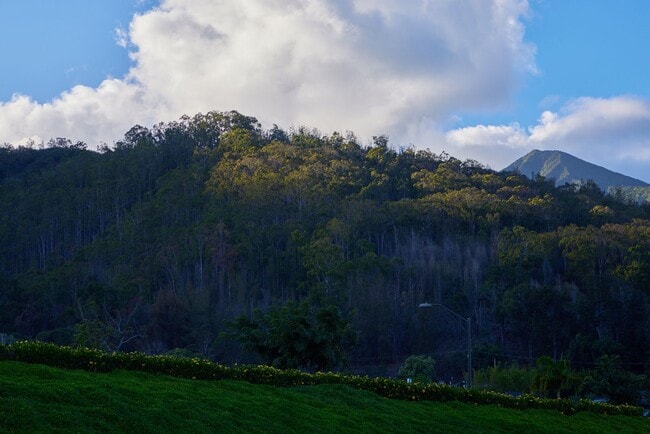 Building Photo - 3 Bedroom / 2 Bathroom – New Build for Lease in Anuhea at Kehalani (Pet Friendly!)