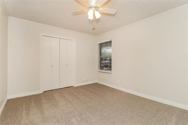 Building Photo - 1003 Holly Hill Ct