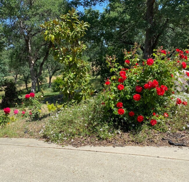 Building Photo - 108 Lost Oak Ct