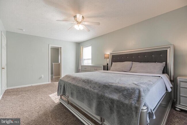 Building Photo - 10324 Cassidy Ct