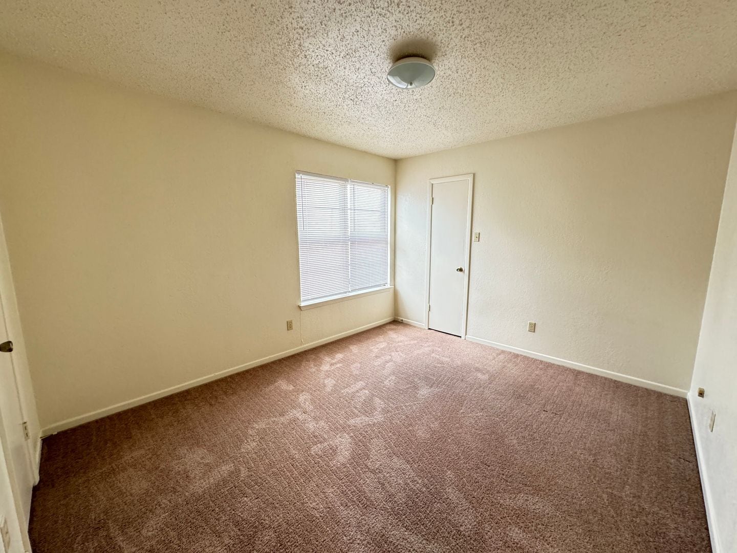 Building Photo - 1307 Covey Ln