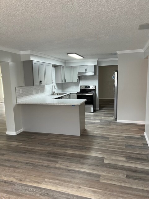 Brand New Kitchen Cabinets and New Appliances - 320 S Brighton Dr