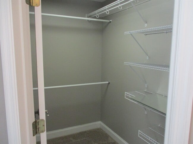 Building Photo - 2808 Blue Bell Ln