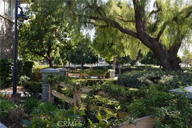 Building Photo - 303 Silk Tree