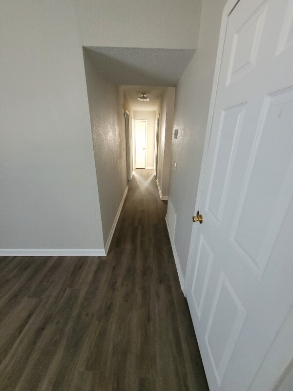 Building Photo - 2310 Beach Dr