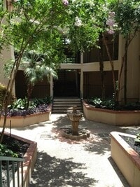 Building Photo - PALMETTO 107