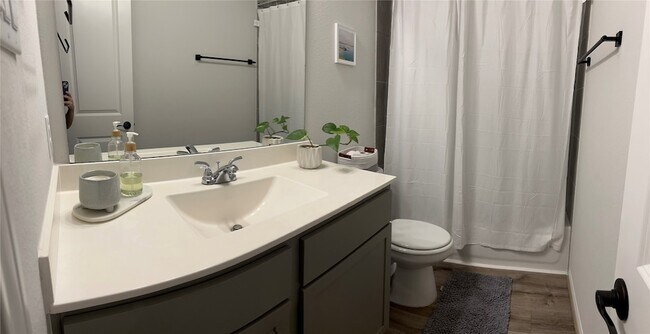 Building Photo - 3213 Cornflower Coast Ct