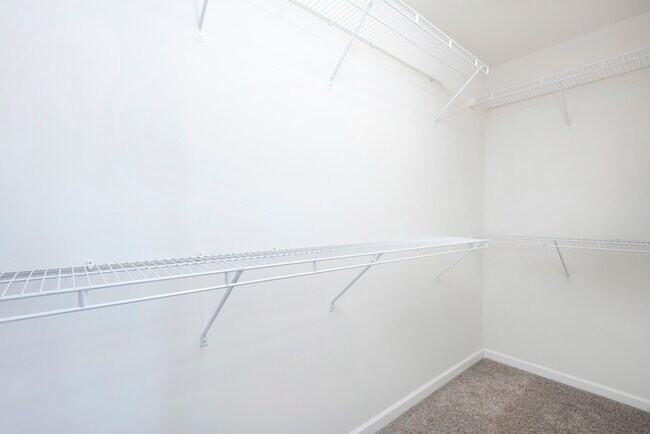 Building Photo - 2601 Potomac Ct