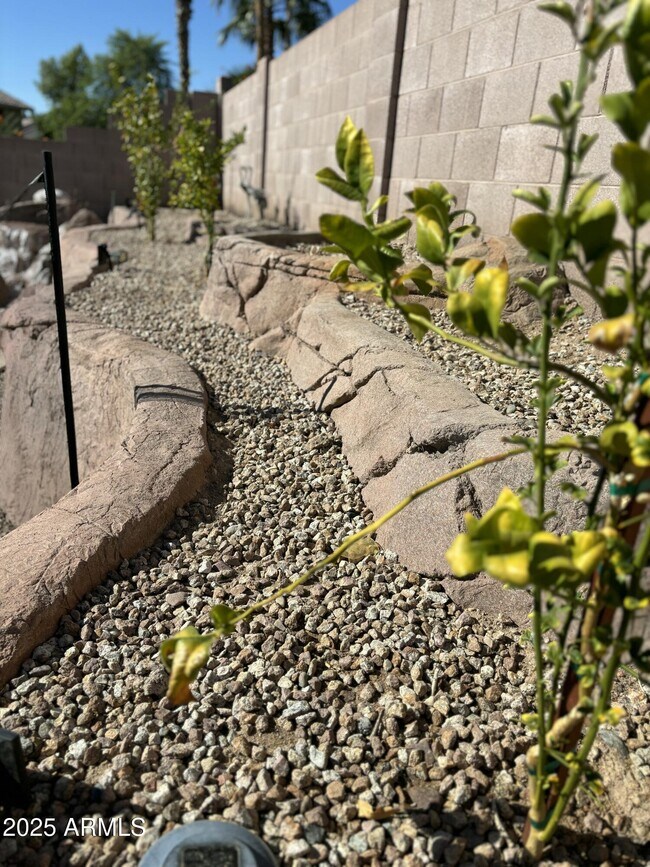 Building Photo - 1302 W Honeysuckle Ln