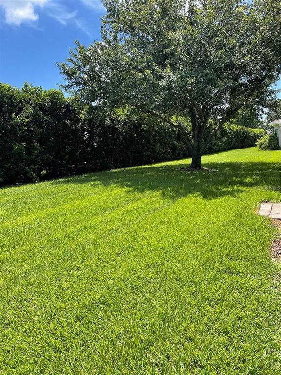 Building Photo - 3249 River Branch Cir