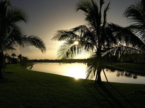 Building Photo - 8158 Rosalie Ln