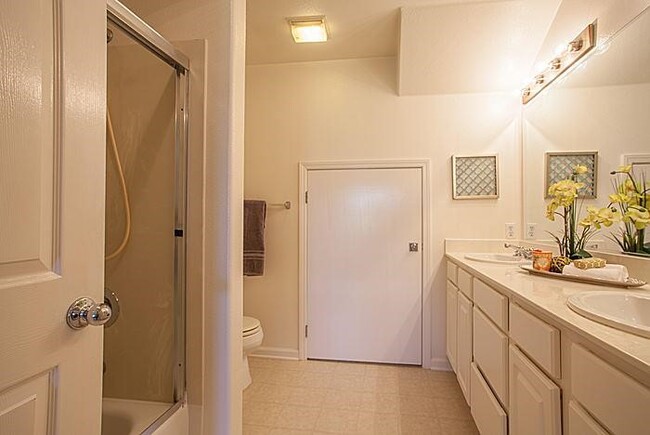 Master Bath - 903 Sunrose Terrace