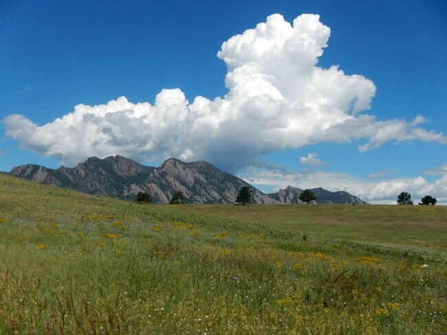 Building Photo - 1858 Centaur Cir