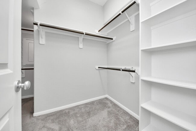 Building Photo - 6007 Prince Pl Dr