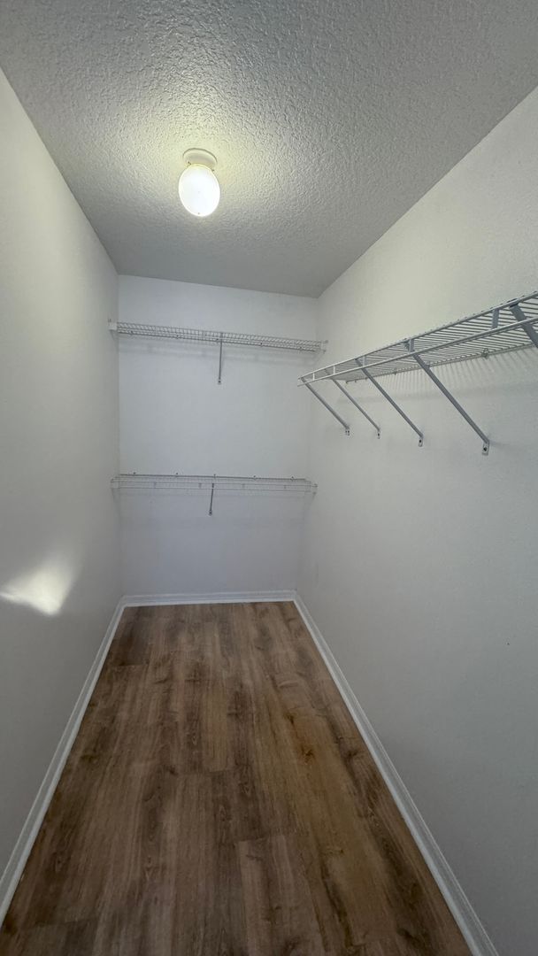 Building Photo - Cute 3/2 House with New Floors and Fresh P...