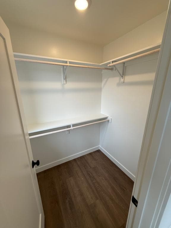 Building Photo - 5217 Whisper Dr