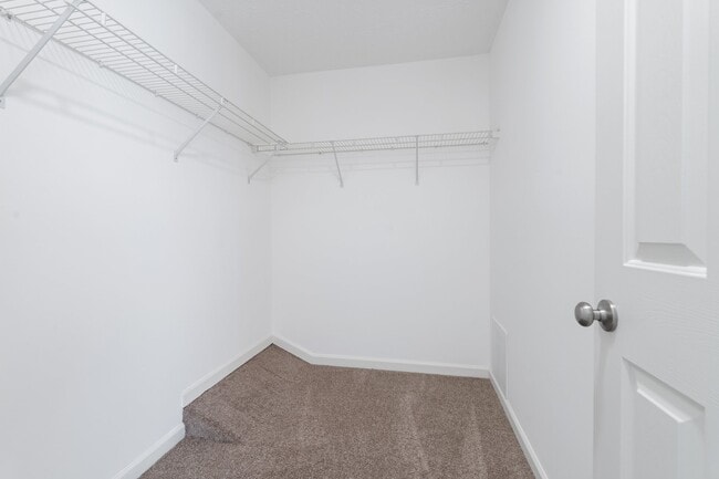 Building Photo - 7022 Dasher Farm Ct