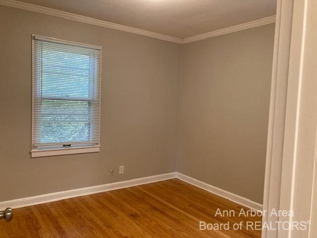 Building Photo - 303 Potter Ave