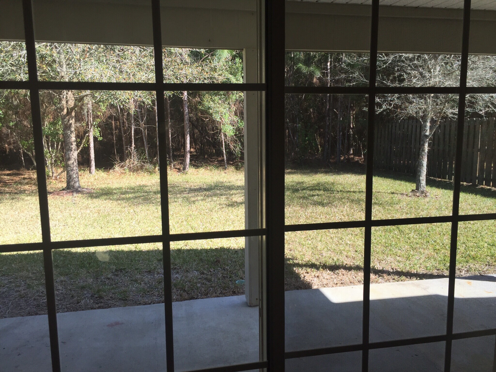 Backyard - 808 South Edenbridge Way