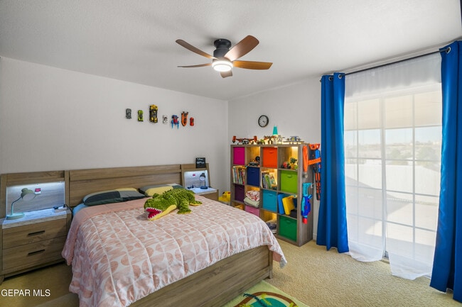 Building Photo - 6205 La Posta Dr
