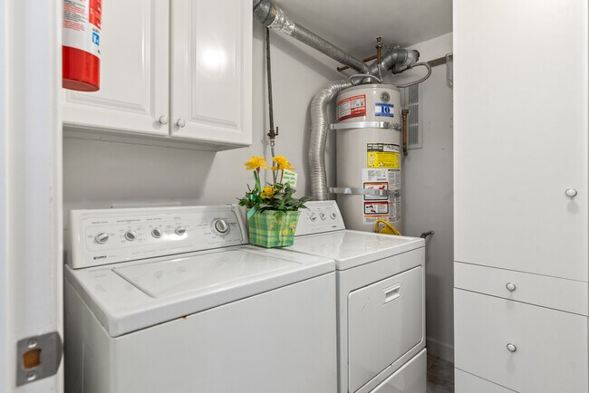 Building Photo - 113 Tynan Way