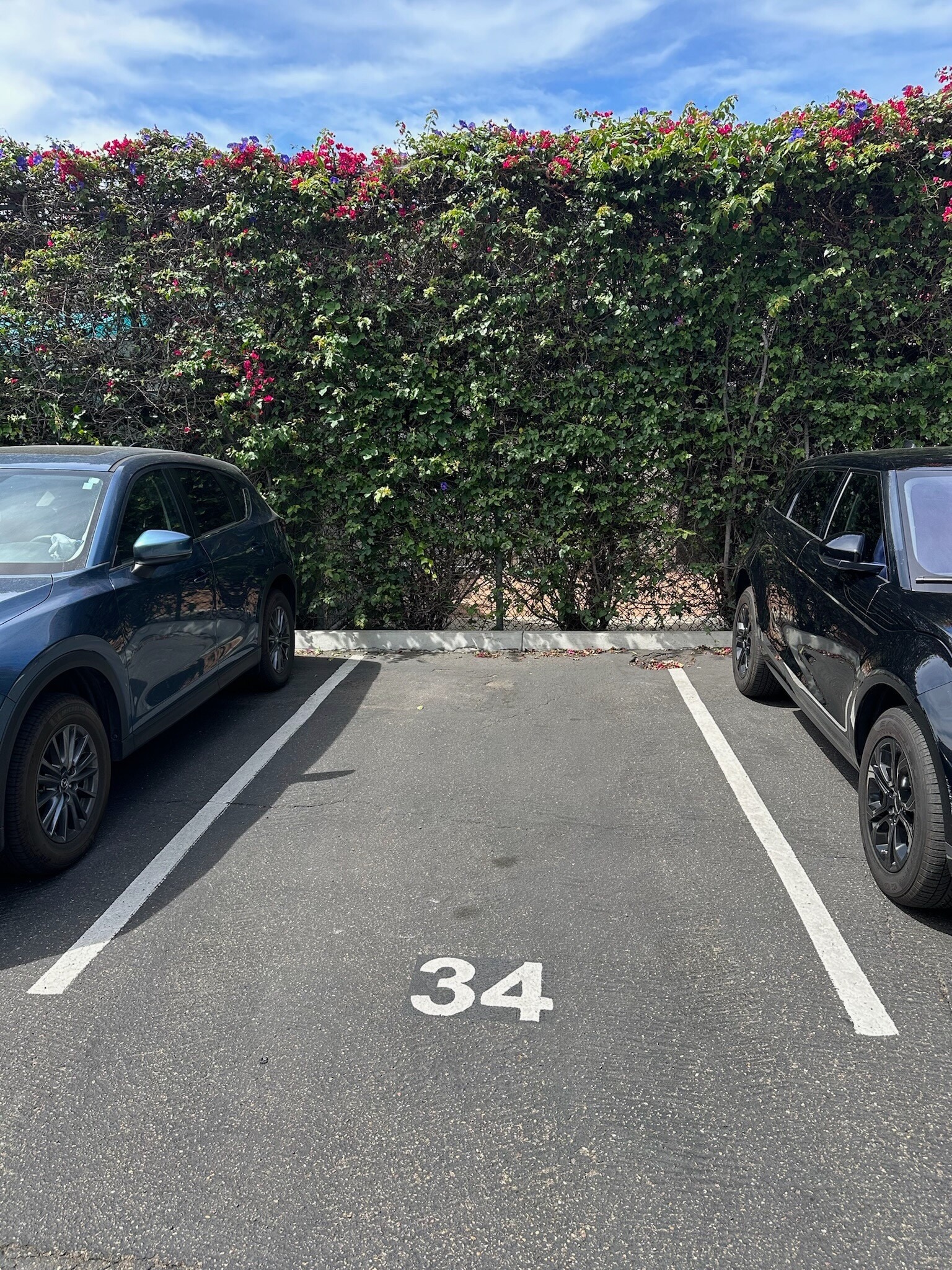 assigned parking - 941 W Hawthorn St
