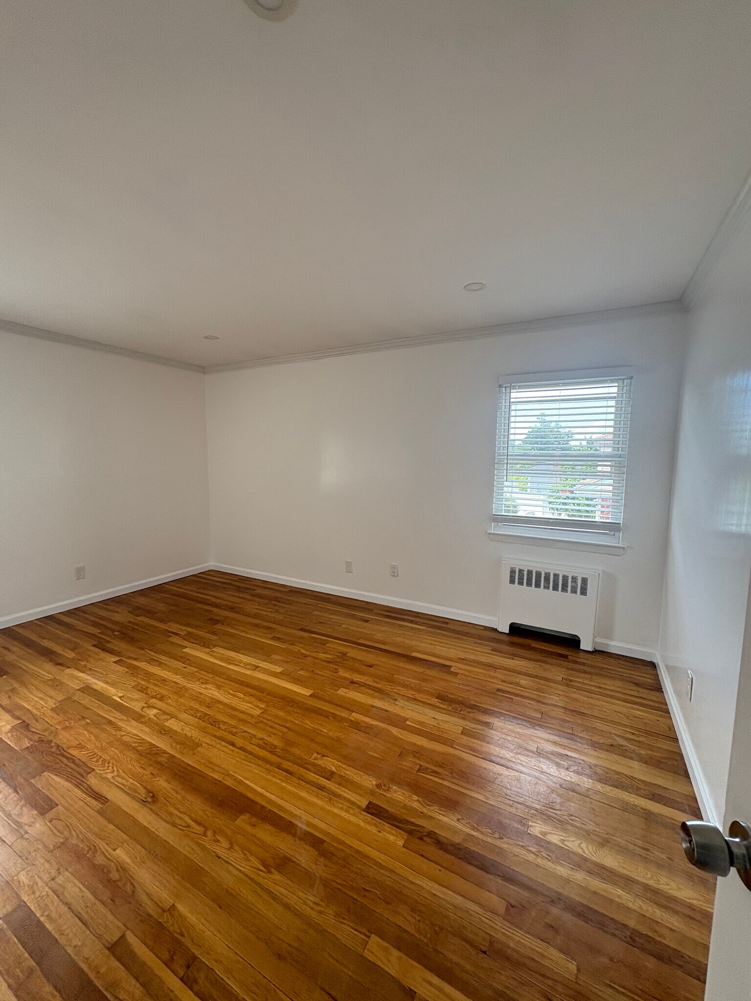 Building Photo - 49 Catalpa St