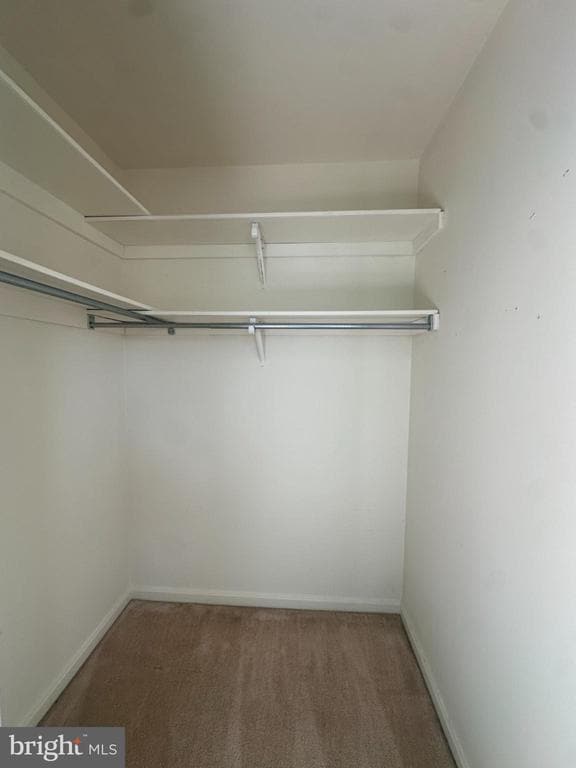Building Photo - 141 Oriole Ct