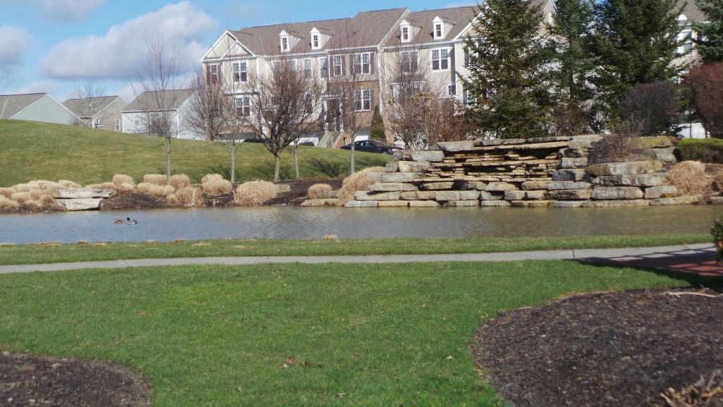 Building Photo - 6337 Chetti Dr