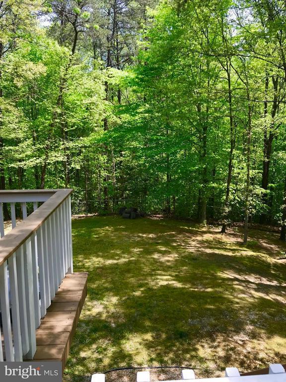 Building Photo - 8 Plumosa Dr