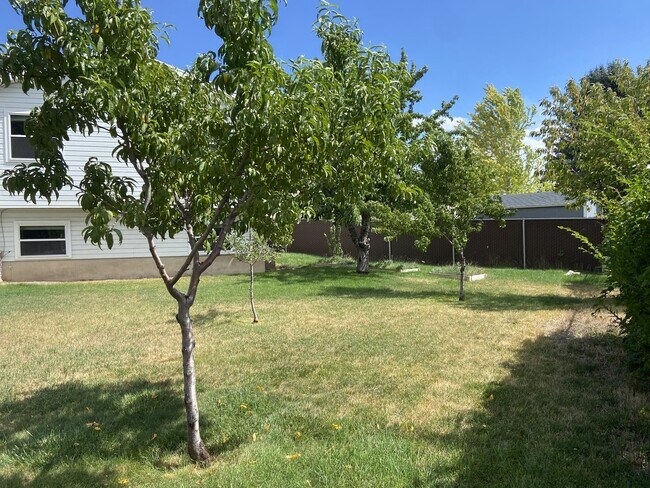 Building Photo - 1373 N 40 E St