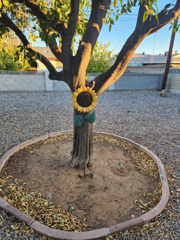 Building Photo - 10042 W Riviera Dr