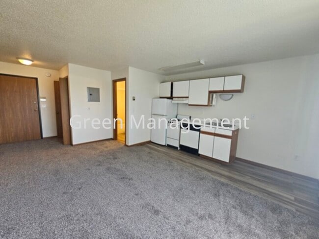 Primary Photo - Efficiency/Studio with New Flooring