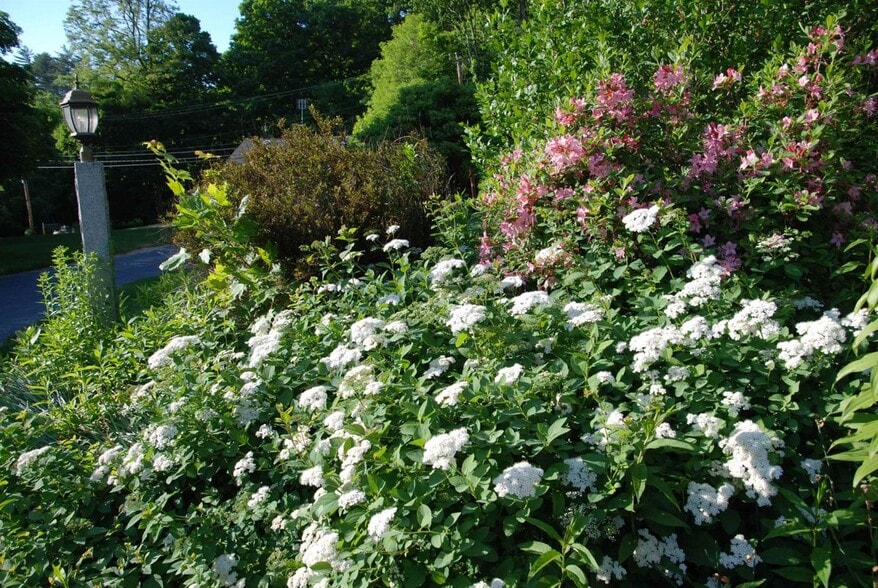 Building Photo - 285 East Side