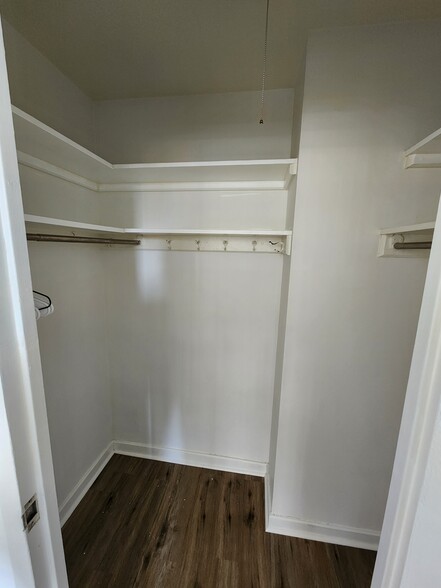 Bedroom walk in closet - 253 E Delaware Pl