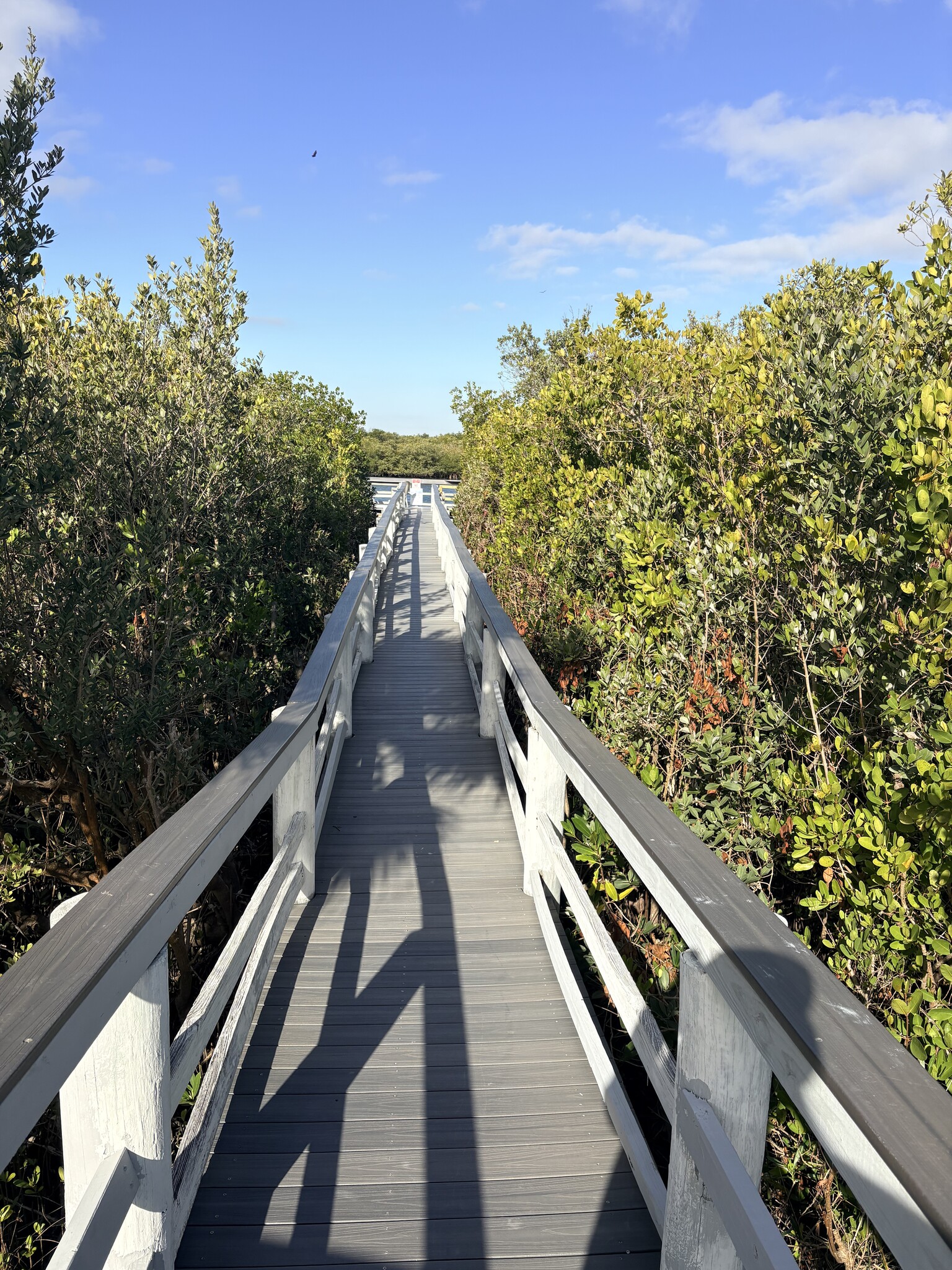 Building Photo - 4870 S Atlantic Ave