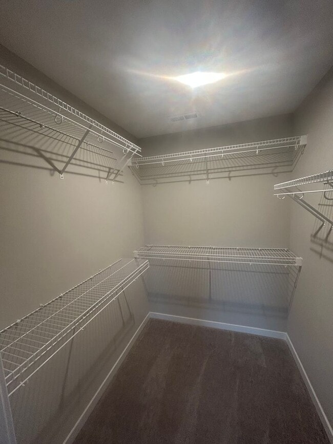 Building Photo - Must See New Construction In Mount Washing...