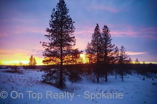 Building Photo - 2523 N Nettleton St