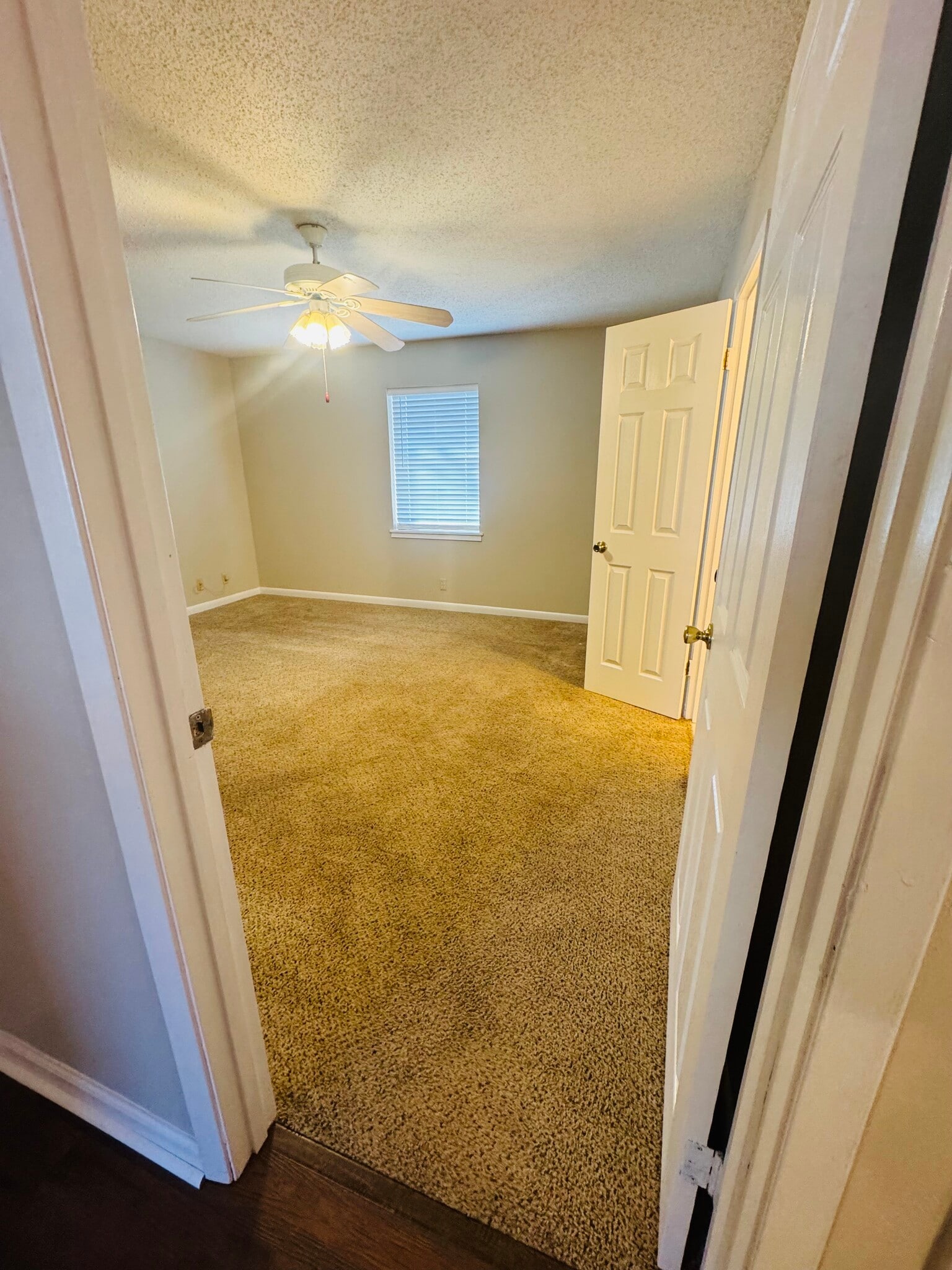 Building Photo - 115 Fairview Dr