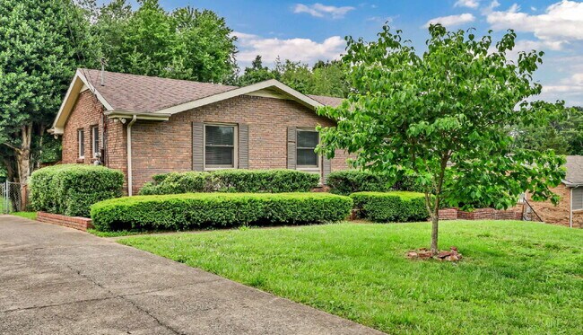 Building Photo - Wonderful 3 bed 2 bath with a modern interior