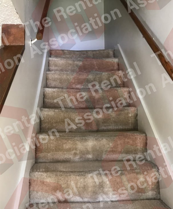 Building Photo - 133 Jennifer Ln