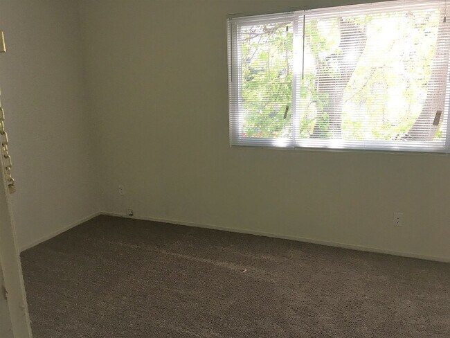 Building Photo - Spacious 2 Bedroom,  Freshly Painted, Updated Kitchen with Granite Countertops, on Central Ave