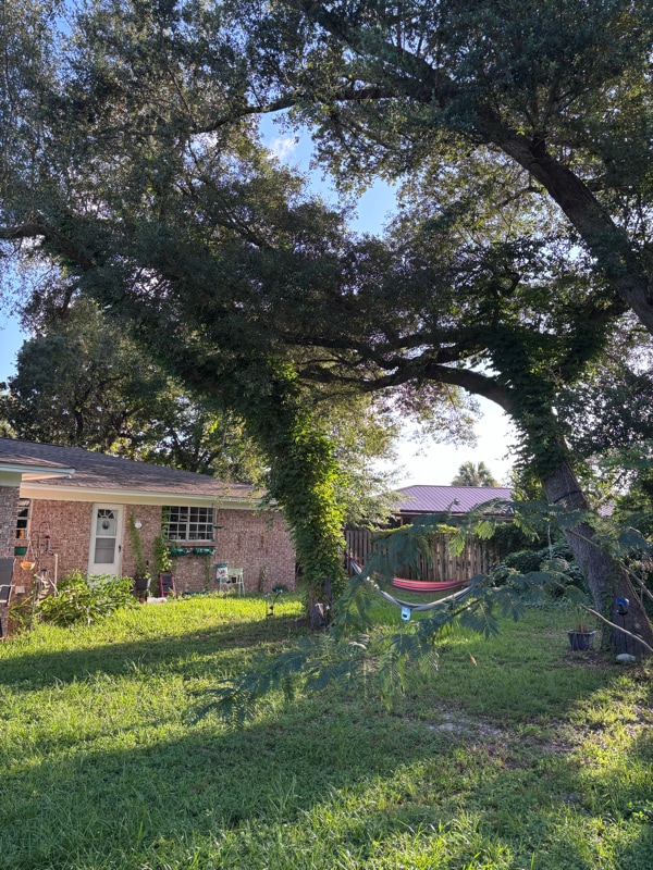 Building Photo - 7541 Coleridge Rd