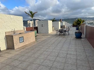 Rooftop BBQ area - 444 Nahua St